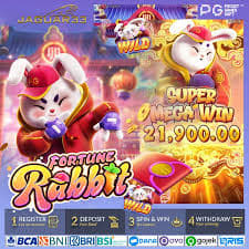 rabbit year fortune 2023 ícone