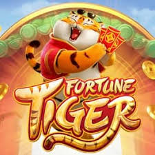 fortune tiger horario ícone