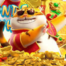 horario para jogar fortune tiger ícone